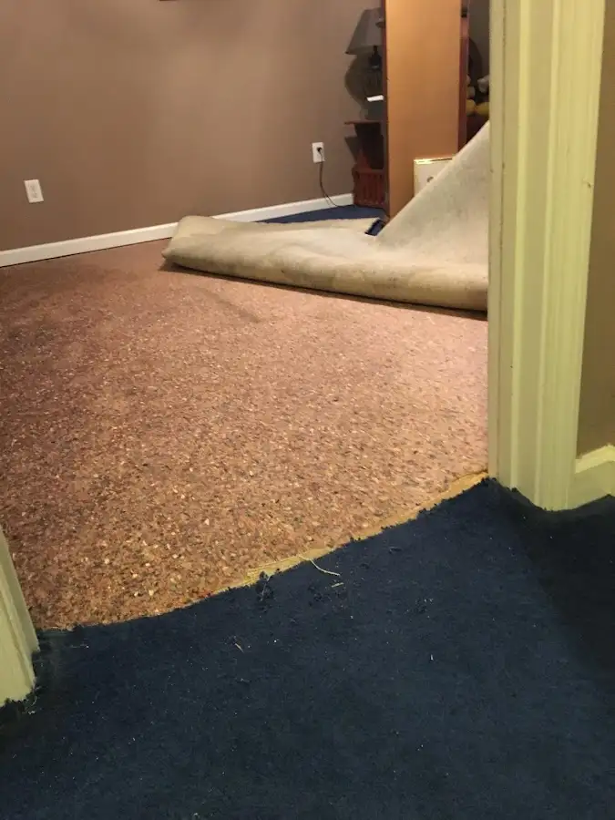 Carpet pad removal revealing water damage during Water Mitigation Services in Larkfield-Wikiup